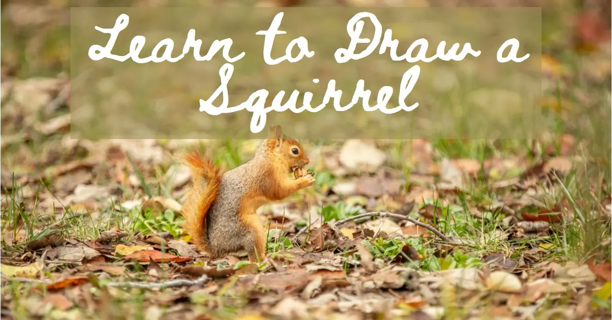 Squirrel Drawing Tutorial