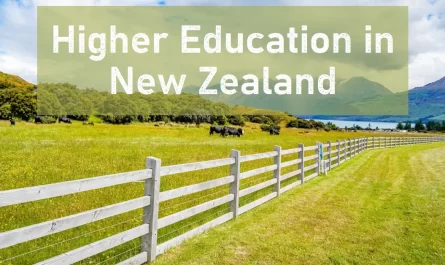 Higher Education in New Zealand