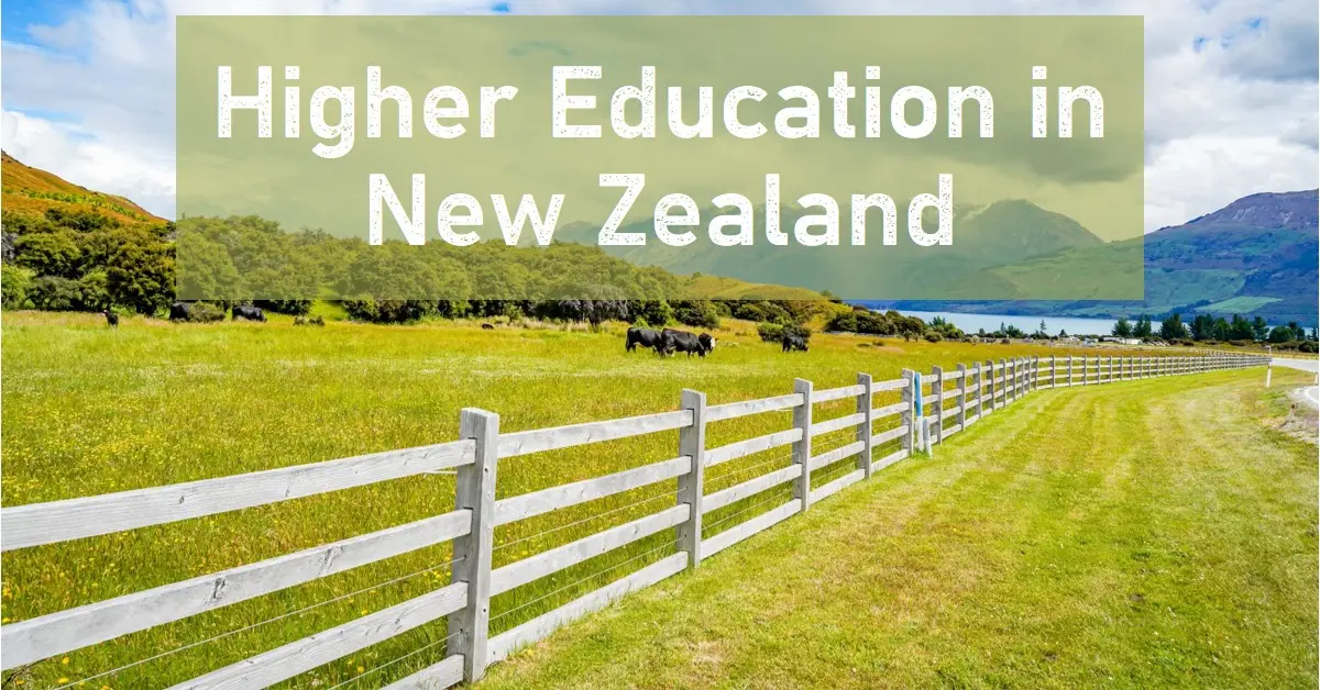 Higher Education in New Zealand